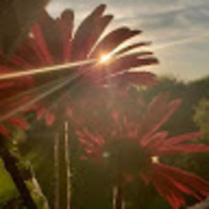 Meet your Posher, Shania